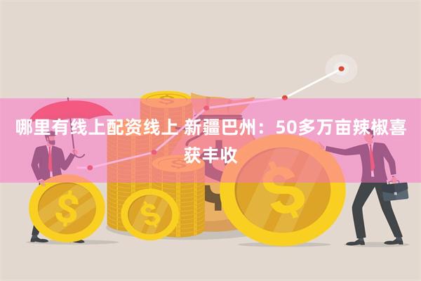 哪里有线上配资线上 新疆巴州：50多万亩辣椒喜获丰收