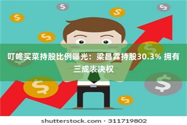 叮咚买菜持股比例曝光：梁昌霖持股30.3% 拥有三成表决权