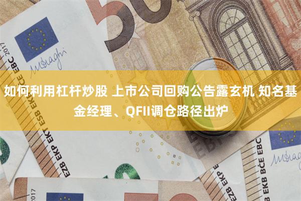 如何利用杠杆炒股 上市公司回购公告露玄机 知名基金经理、QFII调仓路径出炉