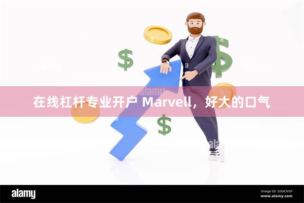 在线杠杆专业开户 Marvell，好大的口气