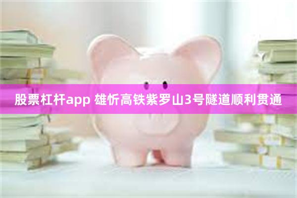 股票杠杆app 雄忻高铁紫罗山3号隧道顺利贯通