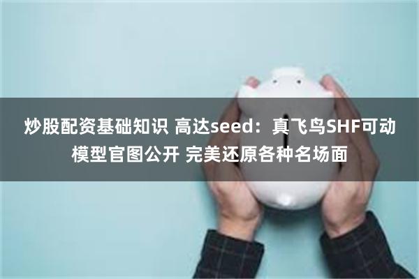 炒股配资基础知识 高达seed：真飞鸟SHF可动模型官图公开 完美还原各种名场面