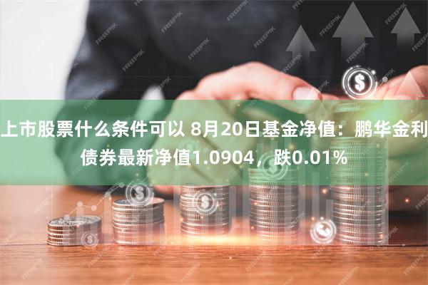 上市股票什么条件可以 8月20日基金净值：鹏华金利债券最新净值1.0904，跌0.01%