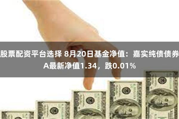 股票配资平台选择 8月20日基金净值：嘉实纯债债券A最新净值1.34，跌0.01%