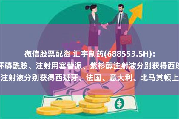 微信股票配资 汇宇制药(688553.SH)：注射用伏立康唑、注射用环磷酰胺、注射用塞替派、紫杉醇注射液分别获得西班牙、法国、意大利、北马其顿上市许可