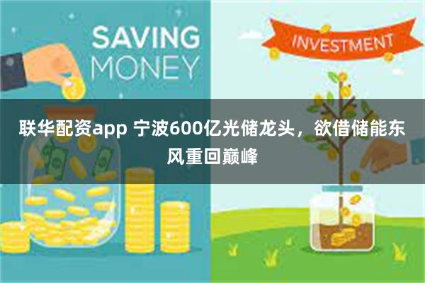 联华配资app 宁波600亿光储龙头,欲借储能东风重回巅峰