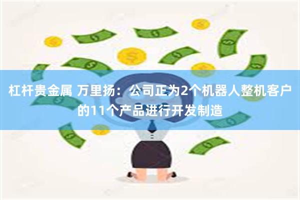 杠杆贵金属 万里扬：公司正为2个机器人整机客户的11个产品进行开发制造